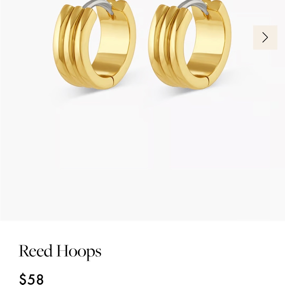 Gorjana Reed Earrings NWOT